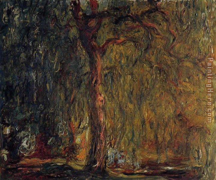Weeping Willow 2